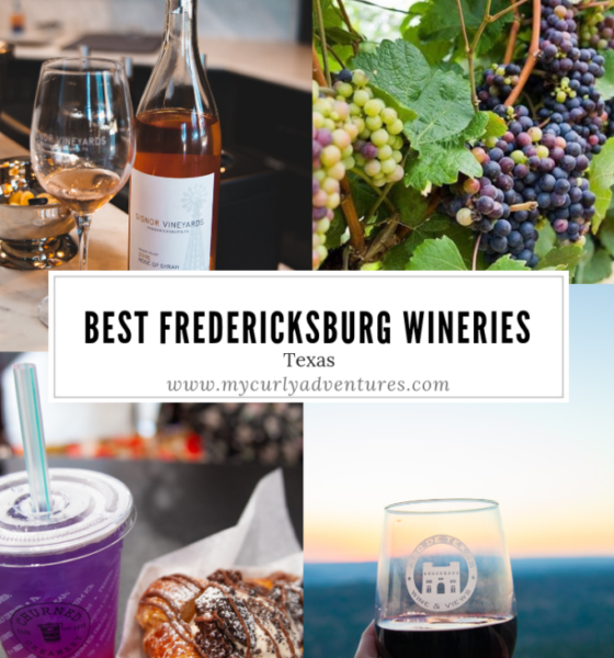 Best Fredericksburg TX Wineries