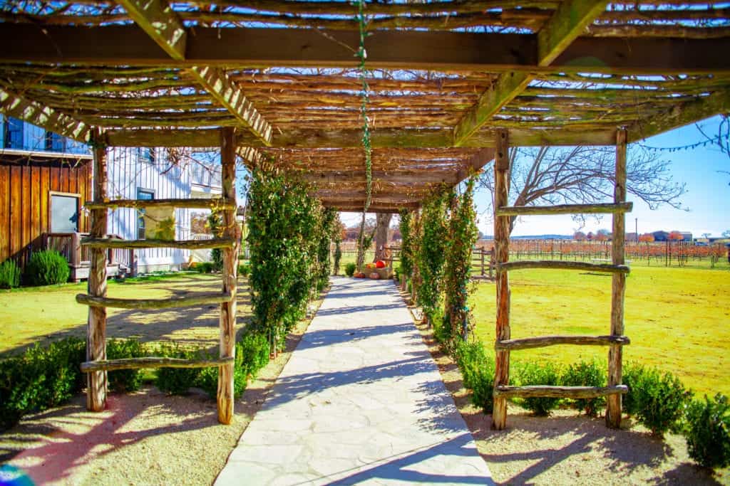 Best Wineries Fredericksburg TX