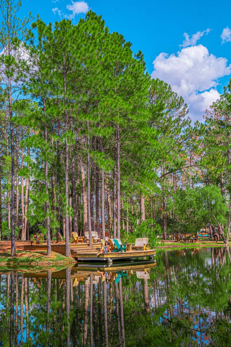 Tall pine trees surrounding a calm lake with wooden Adirondack chairs