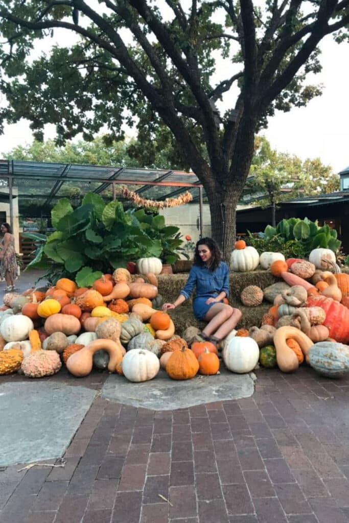 An assortment of colorful pumpkins