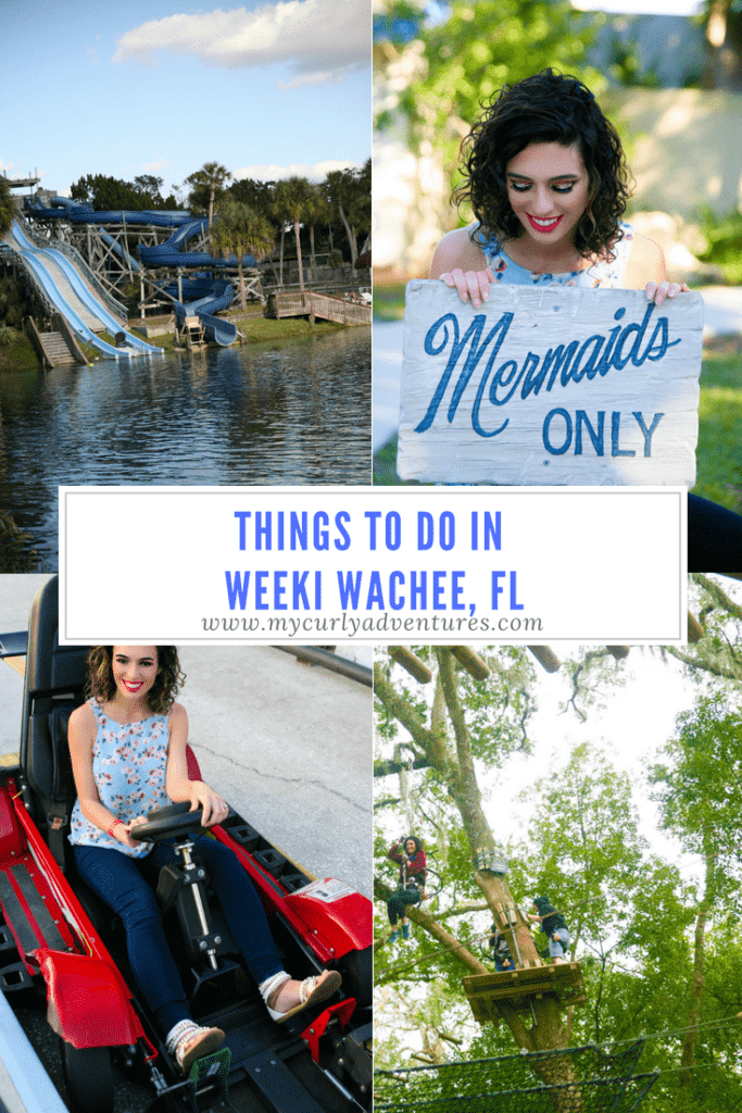 Things to do in Weeki Wachee FL