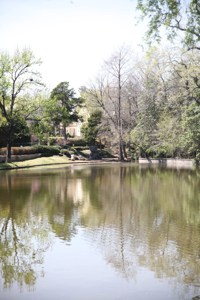 You Can Find These Massive Teddy Bears In This Hidden Dallas Park - Narcity