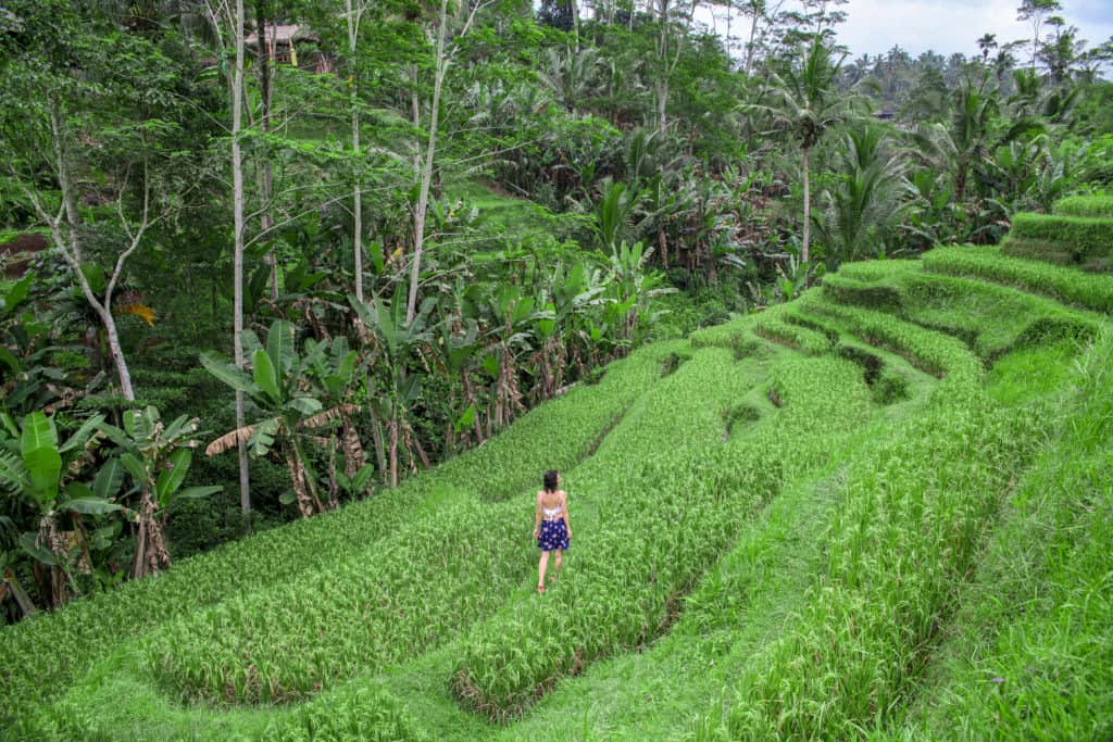 5 day Ubud Itinerary 