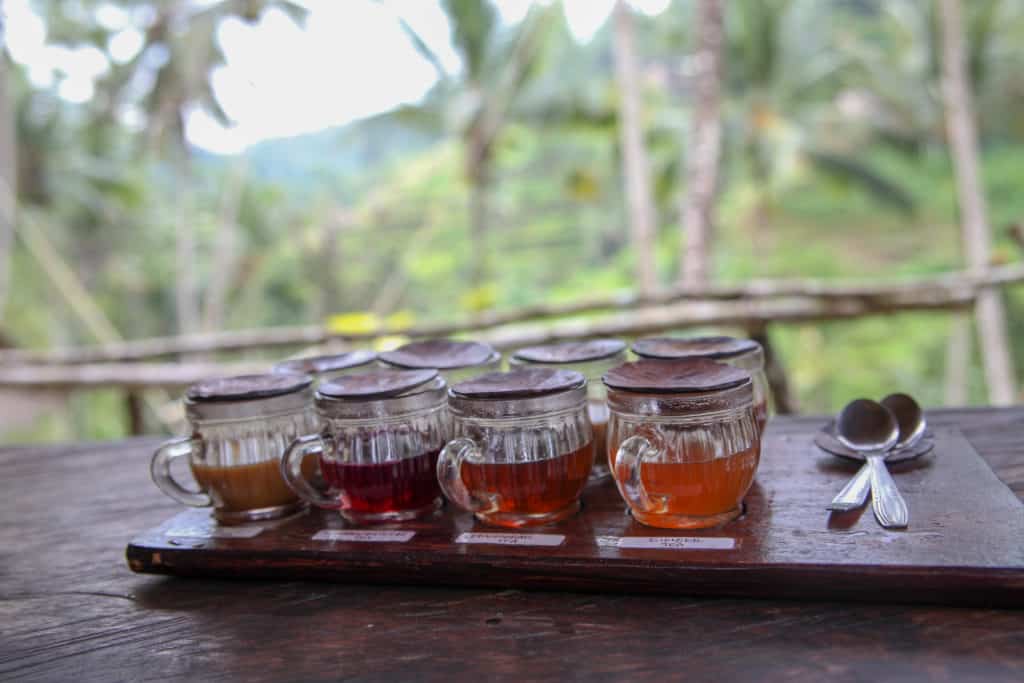 5 day Ubud Itinerary 