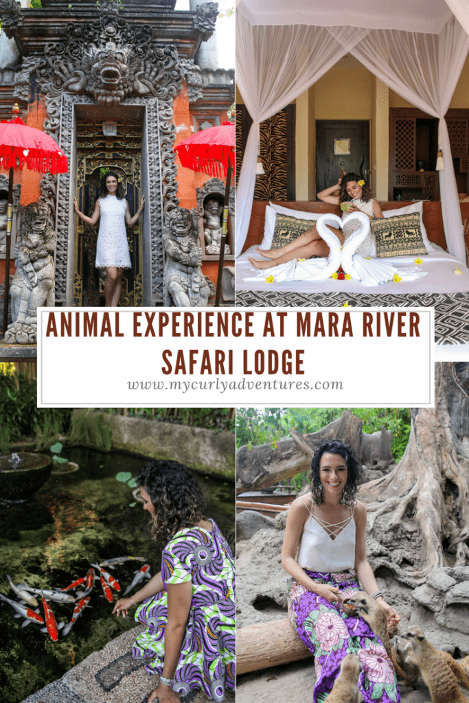 Mara River Safari Lodge Review