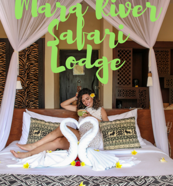 Mara River Safari Lodge Review