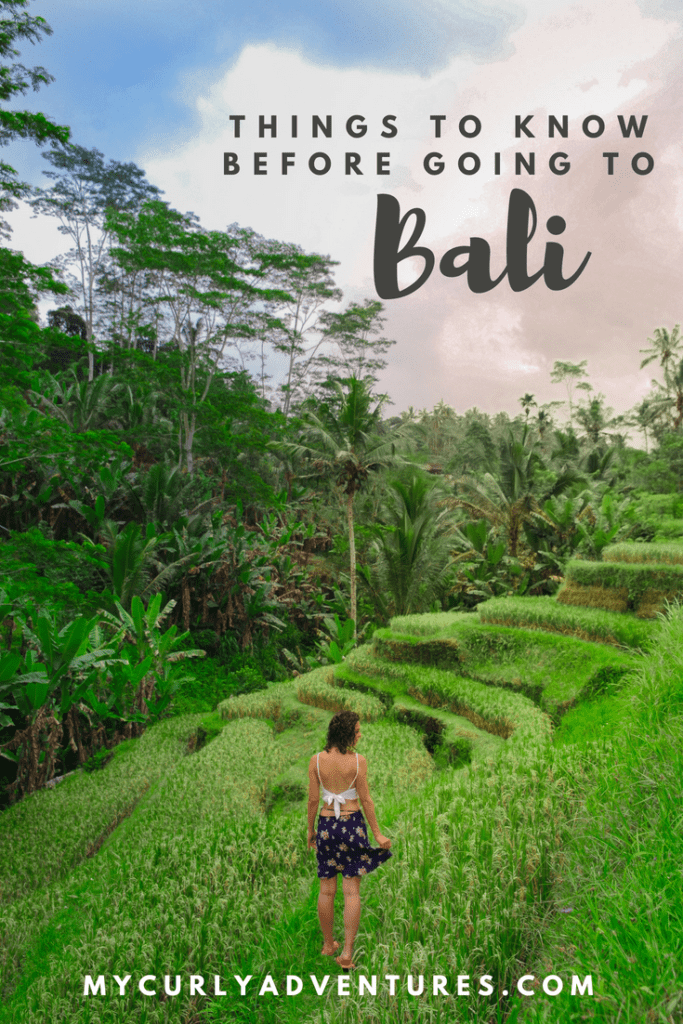 Things To Know Before Going To Bali My Curly Adventures