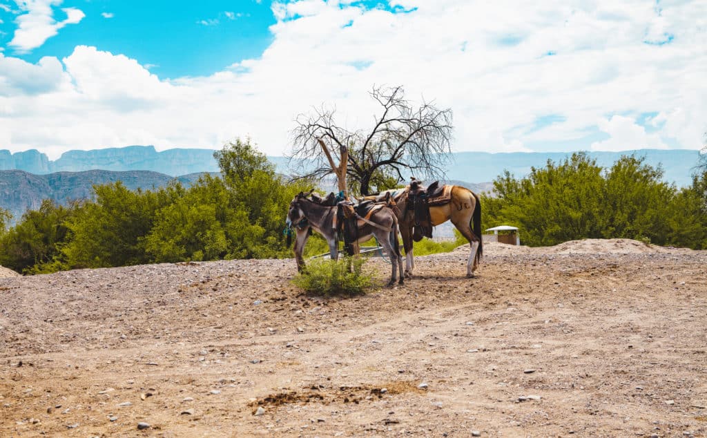 Things to do in Boquillas Mexico 