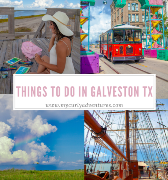 Fun Things to Do in Galveston