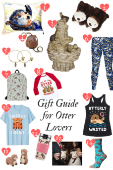 Gift Ideas for Otter Lovers