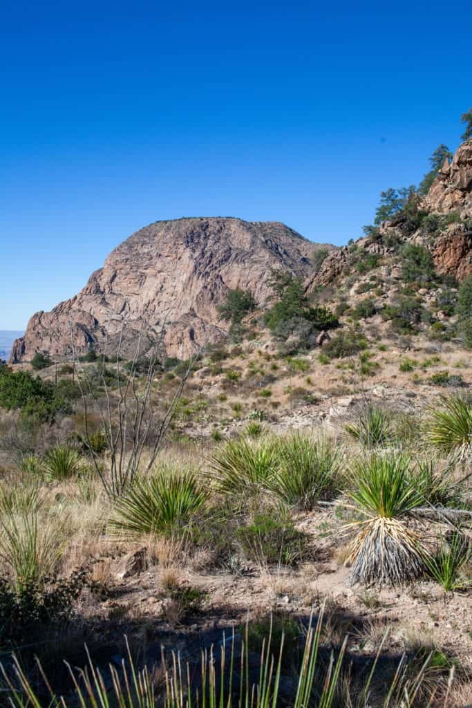 Adventures in Big Bend National Park