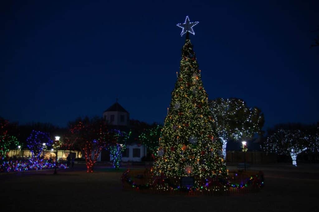 Lit Christmas tree at Marktplatz