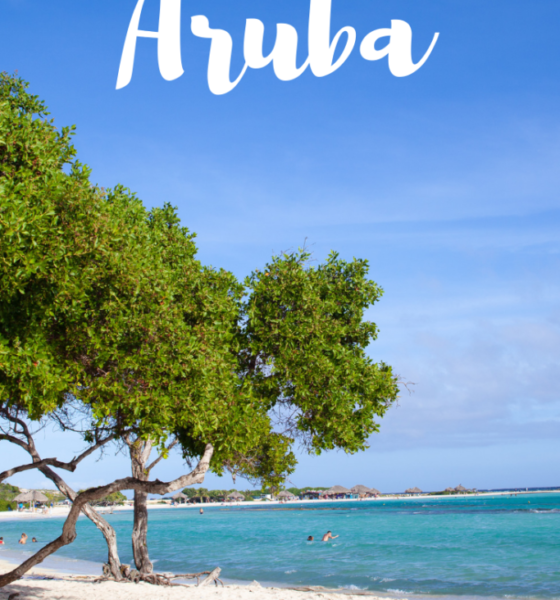 The Best Beaches in Aruba
