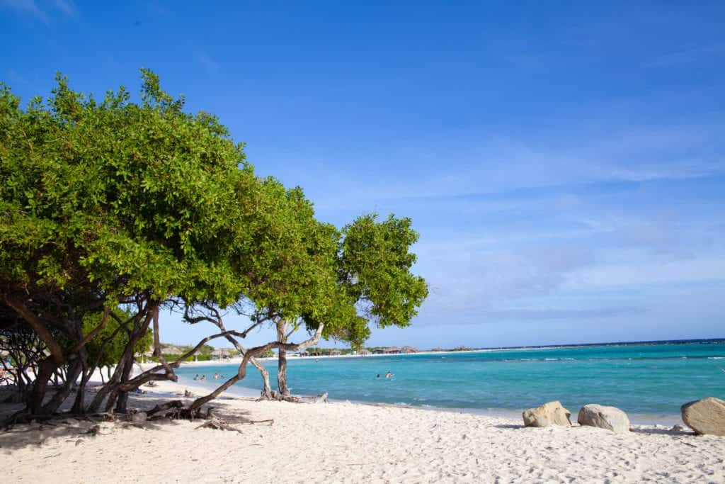 Top Things to do in Aruba 