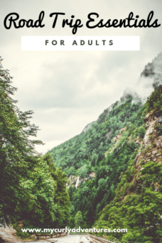 Road Trip Essentials for Adults