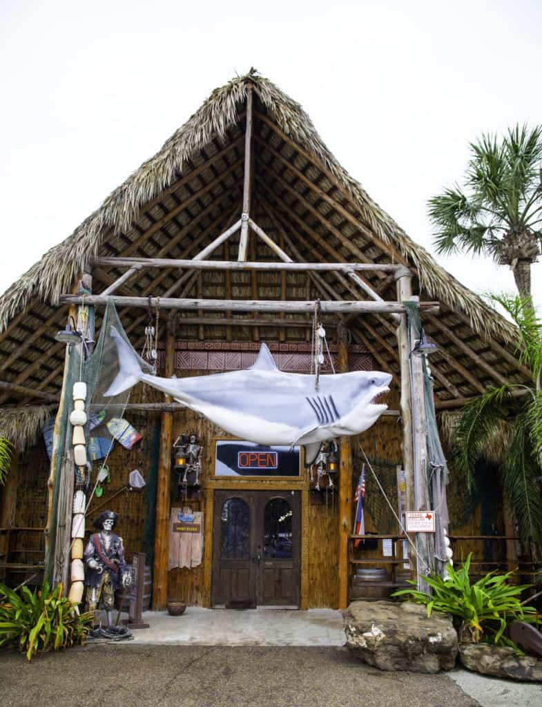 Top Things to do in Port Aransas Texas 