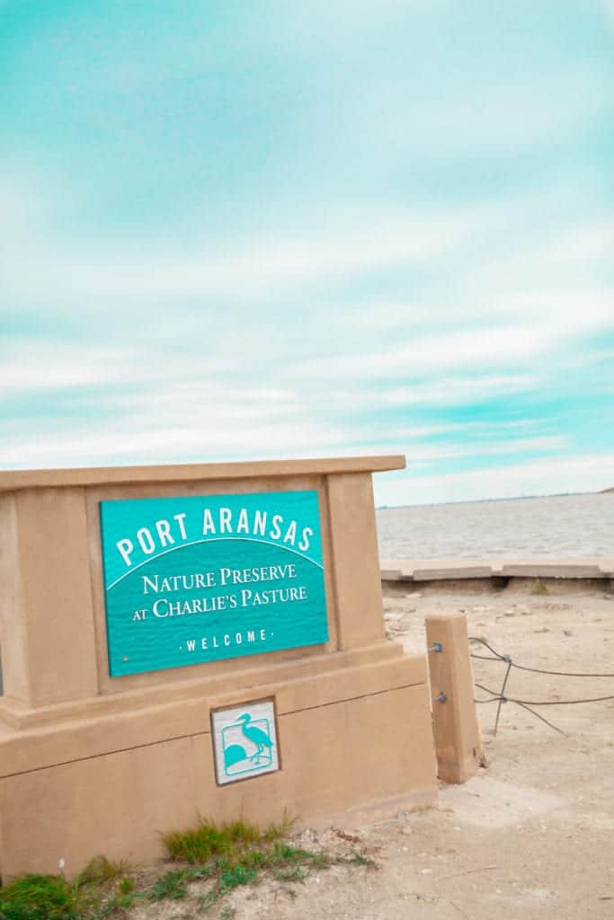 Top Things to do in Port Aransas Texas 