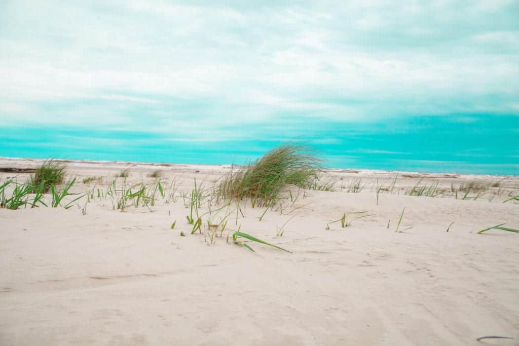 Sandy beach with grass under a blue sky.