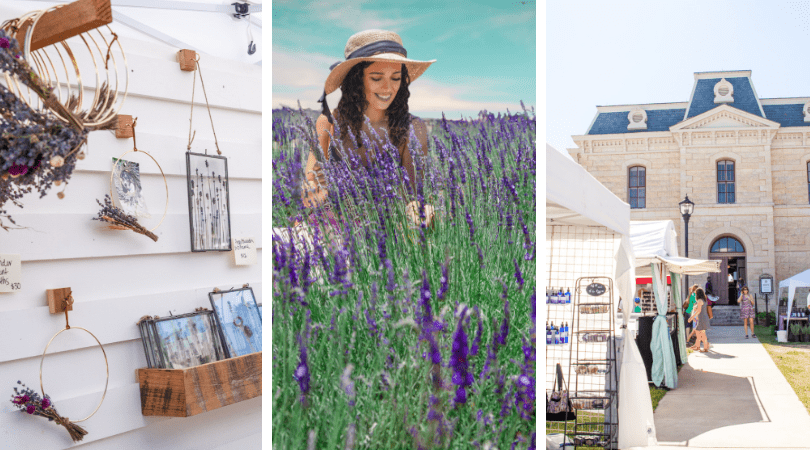 Blanco Lavender Festival