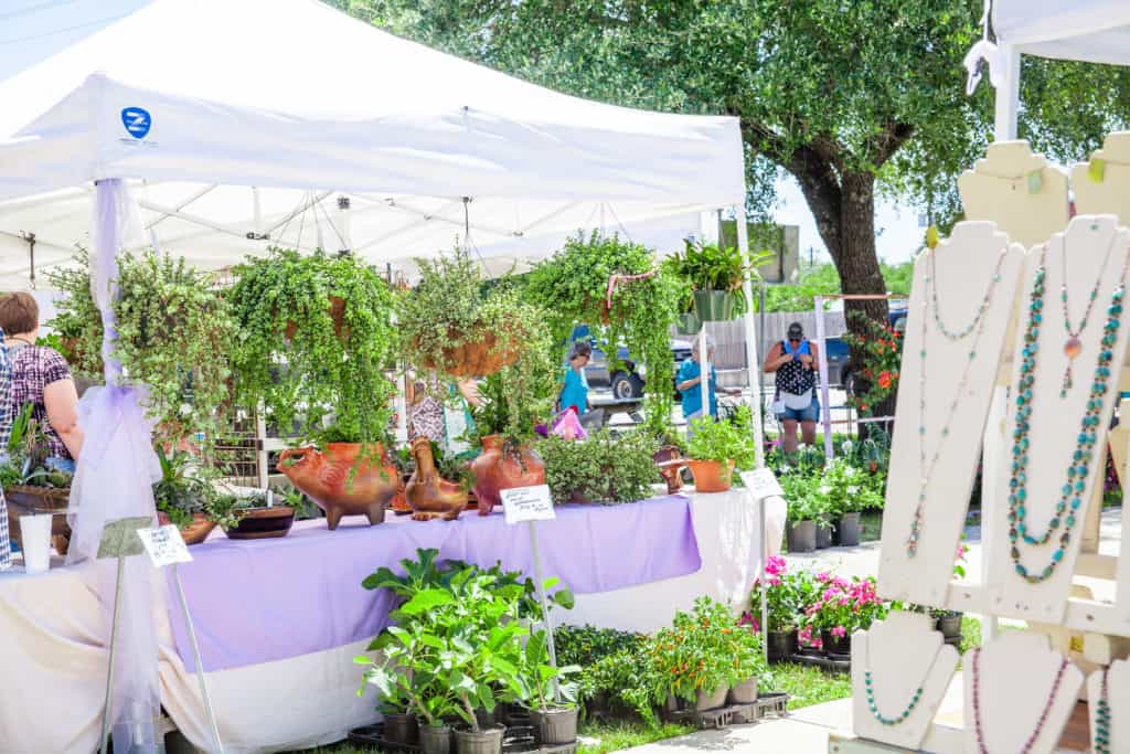 Blanco Lavender Festival 