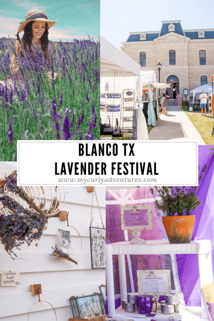Blanco Lavender Festival