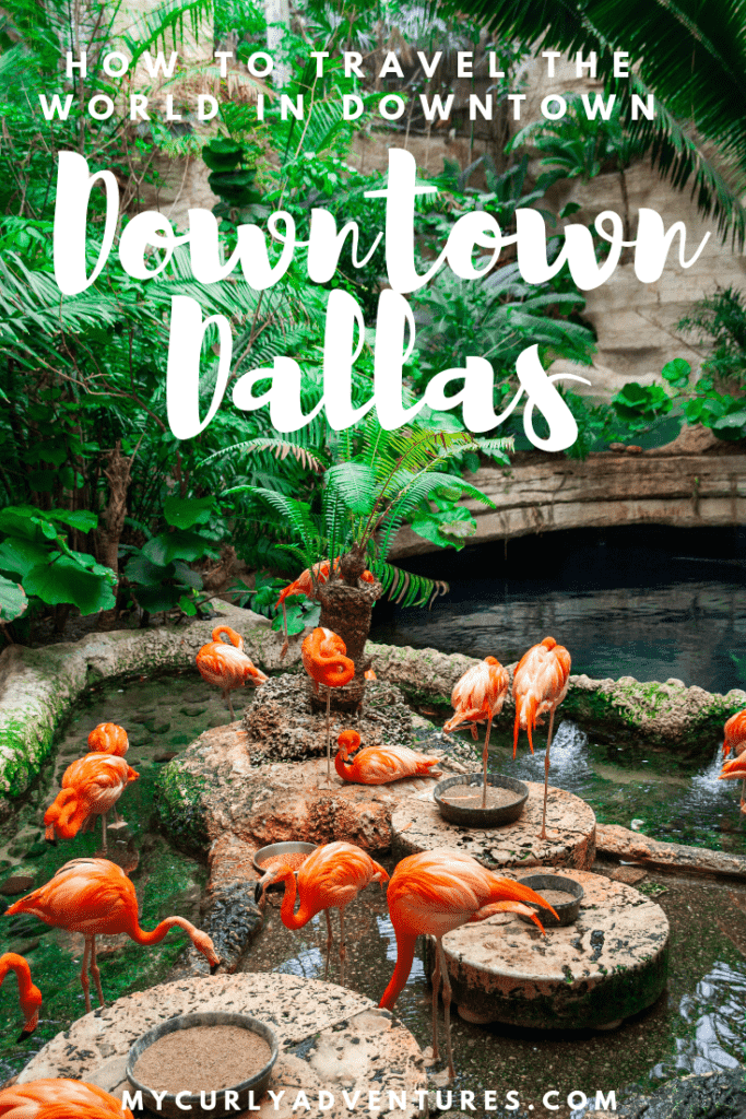 Things to do in Downtown Dallas This Weekend