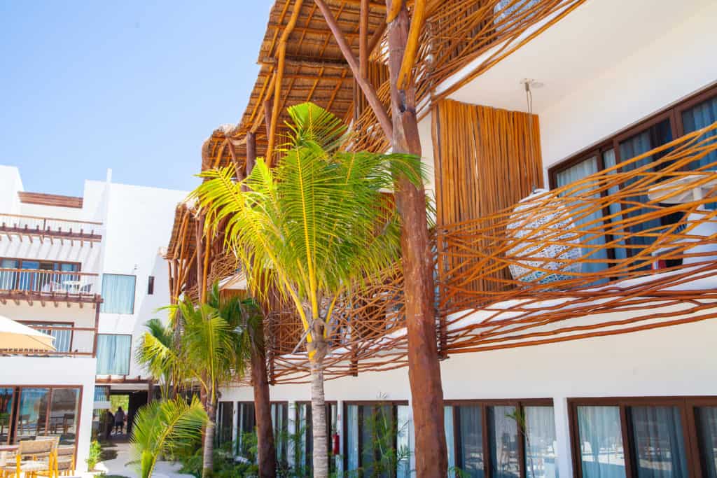 Choosing Your Perfect Quintana Roo Destination Isla Holbox vs Isla Mujeres vs Cancun 