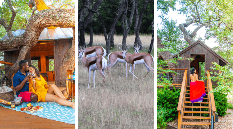 Sleep in A Safari in the Texas Hill Country