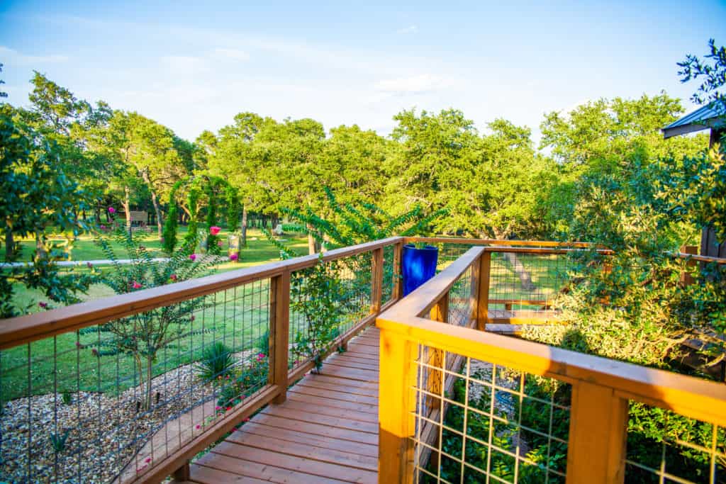 Sleep in A Safari in the Texas Hill Country