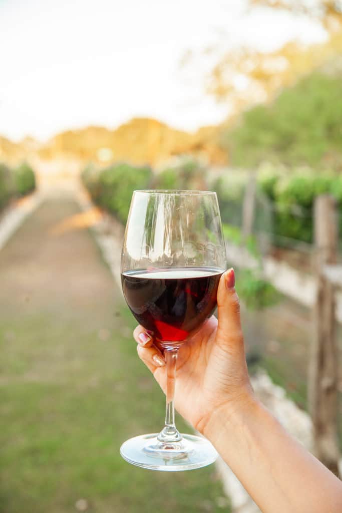 Wineries in Dripping Springs and Driftwood, Texas 