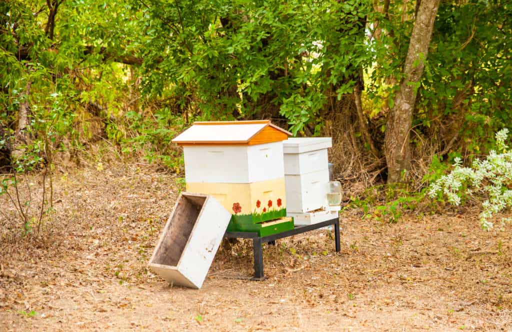 a group of beehives on a bench