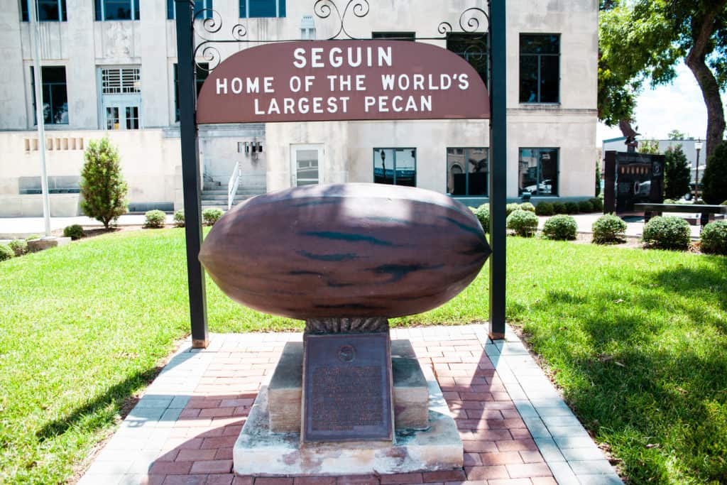 largest pecan statue Things to Do in Seguin, TX