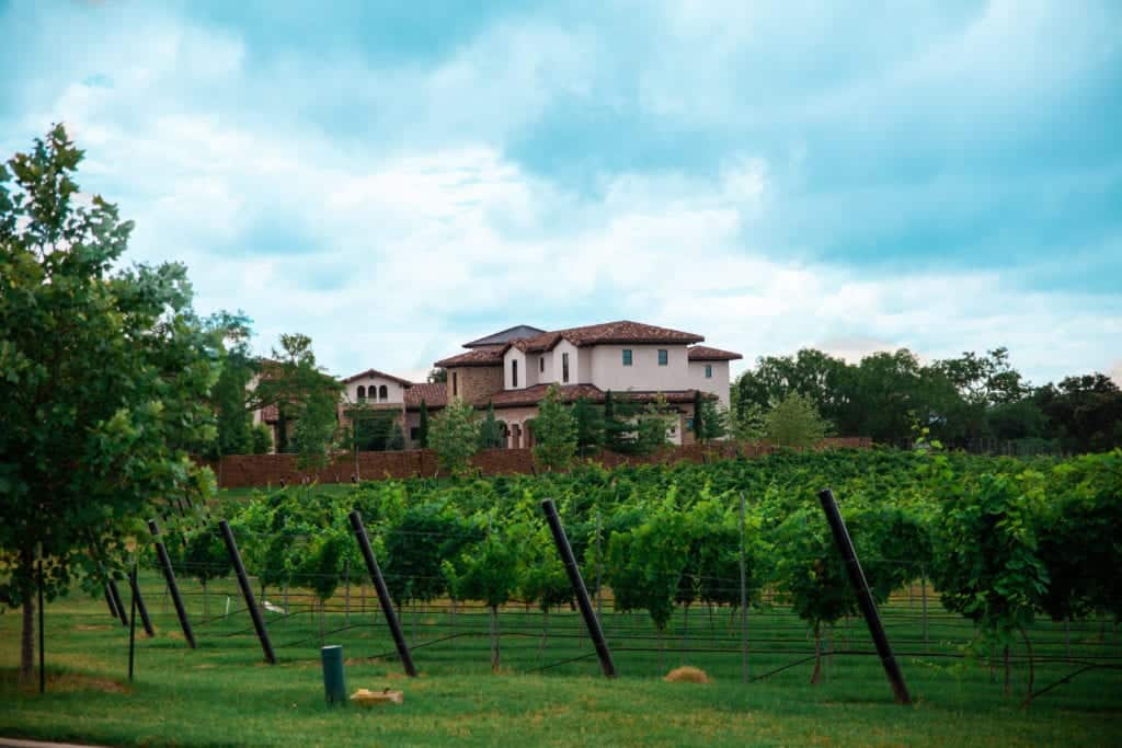 fredericksburg wine tasting experience at Tuscany