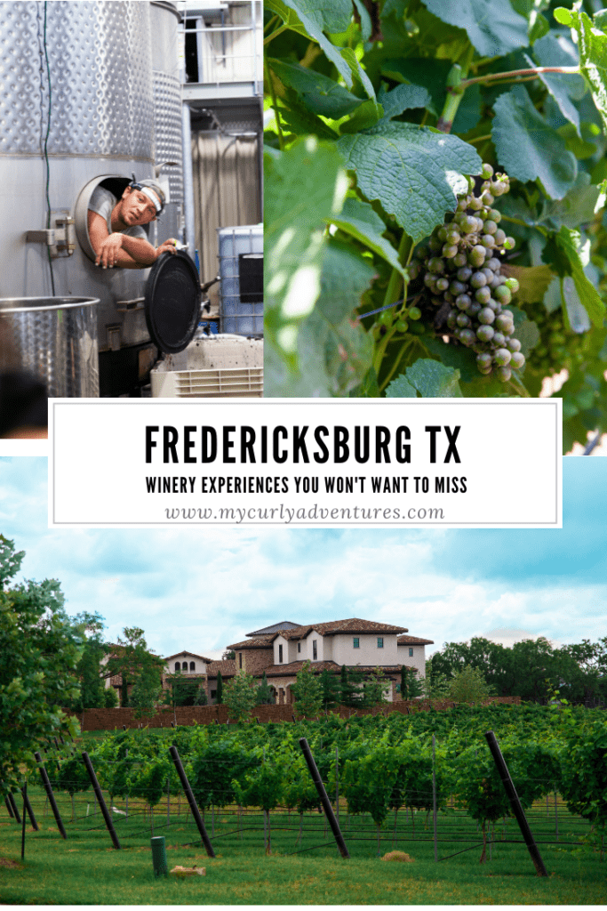 fredericksburg wine tasting experiences