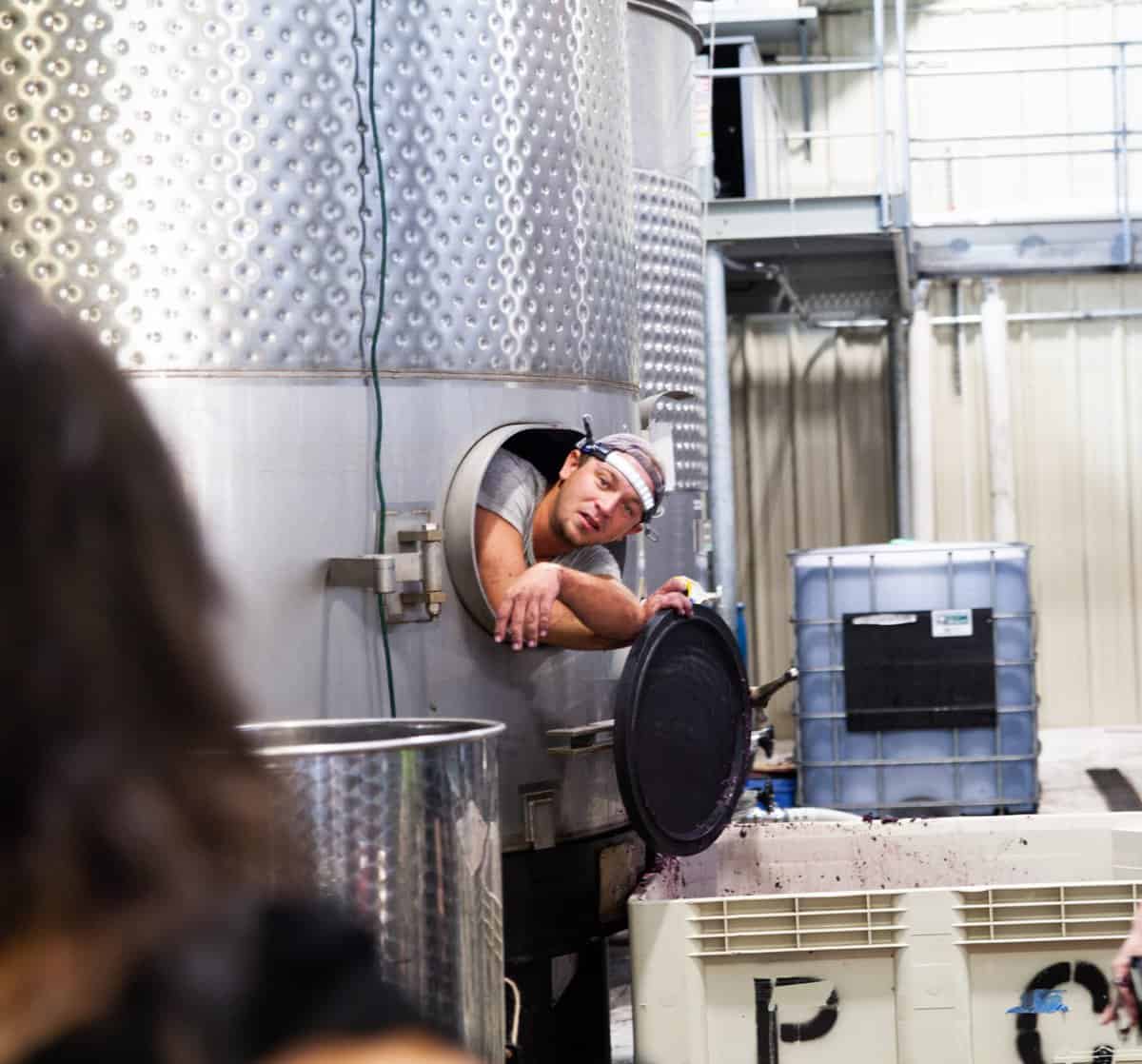 Fredericksburg Winery Experiences You Don't Want to Miss My Curly