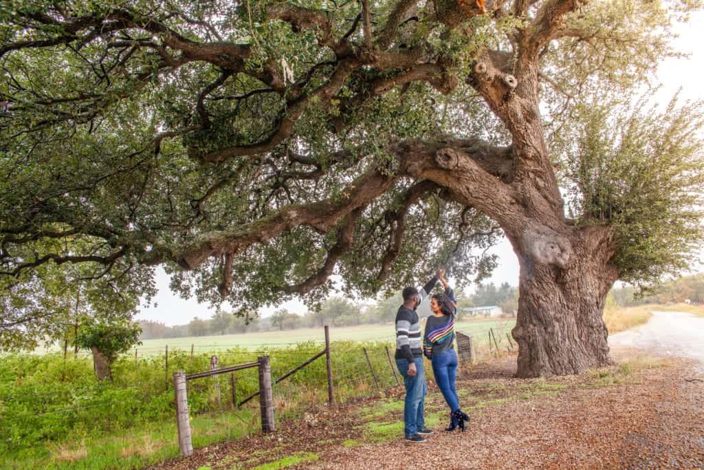 The Pecan Capital of the World Things to do in San Saba Texas