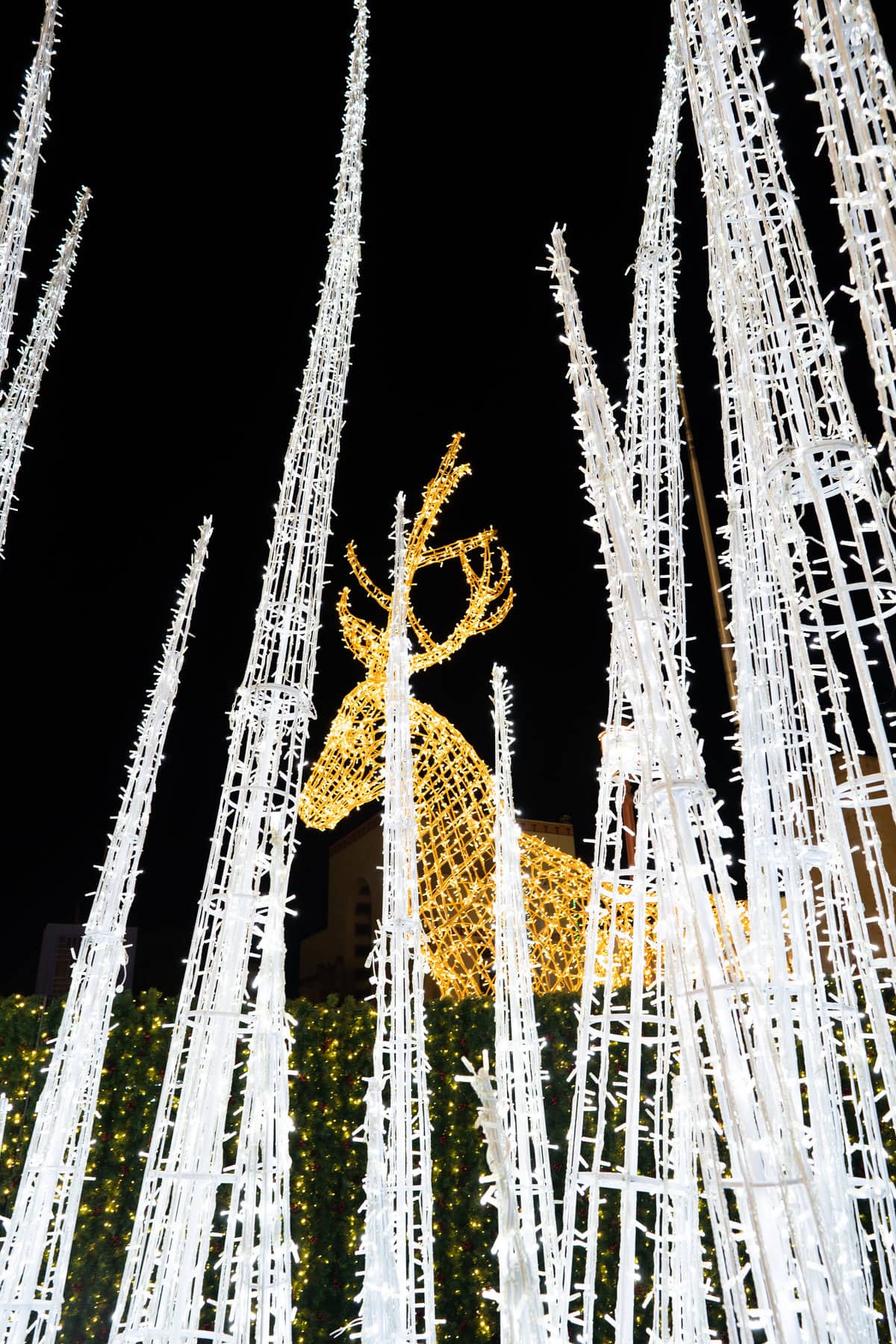 a reindeer made of lights