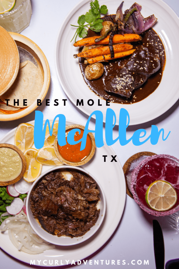 The Best Mole in McAllen - Salome on Main 