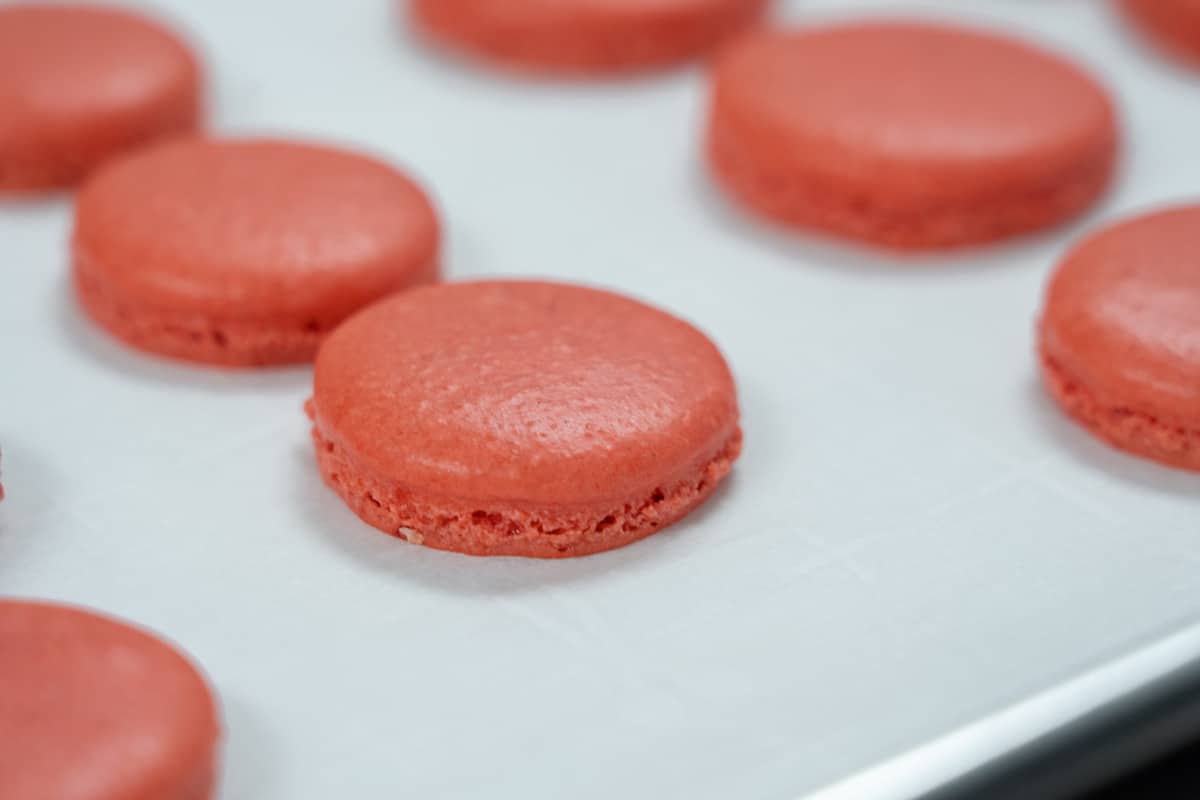 Macarons