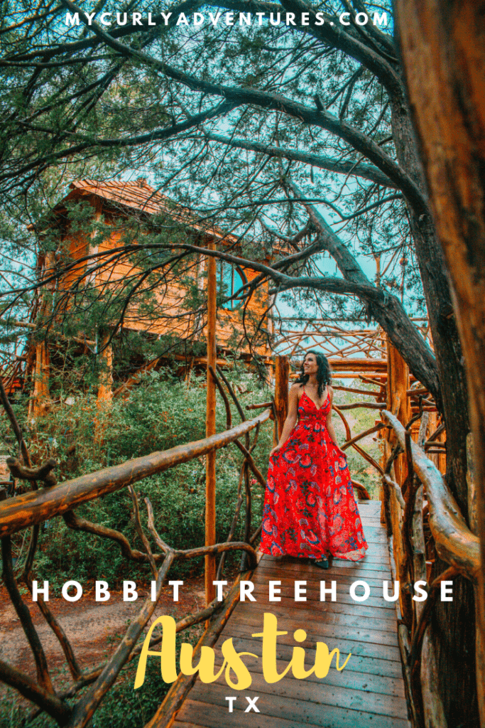 Hobbit Tree House Near Austin Texas 