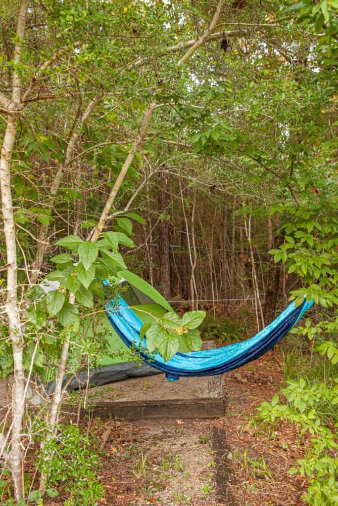 a hammock in the woods