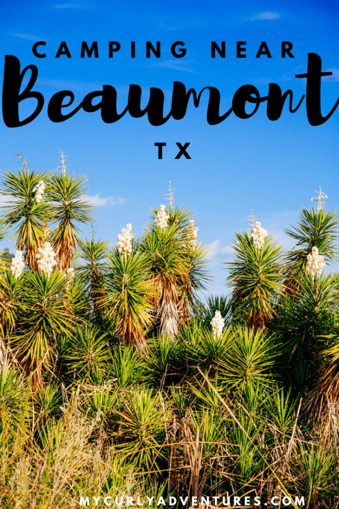 Best Campgrounds and RV Parks in Beaumont