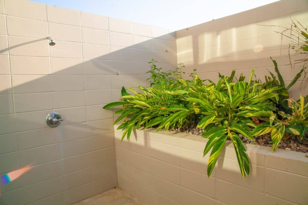 a shower with plants in it