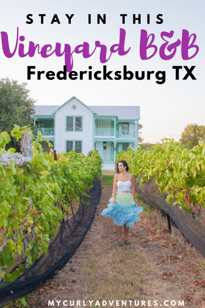 Bed and Breakfast With a Vineyard Near Fredericksburg, TX 