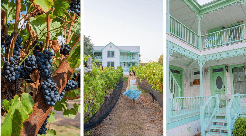 Bed and Breakfast With a Vineyard Near Fredericksburg, TX