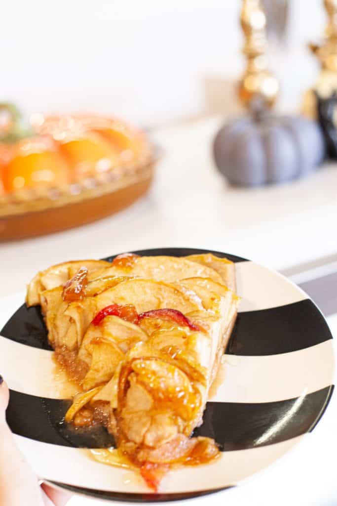 16+ Things to Do in Palestine TX - My Curly Adventures