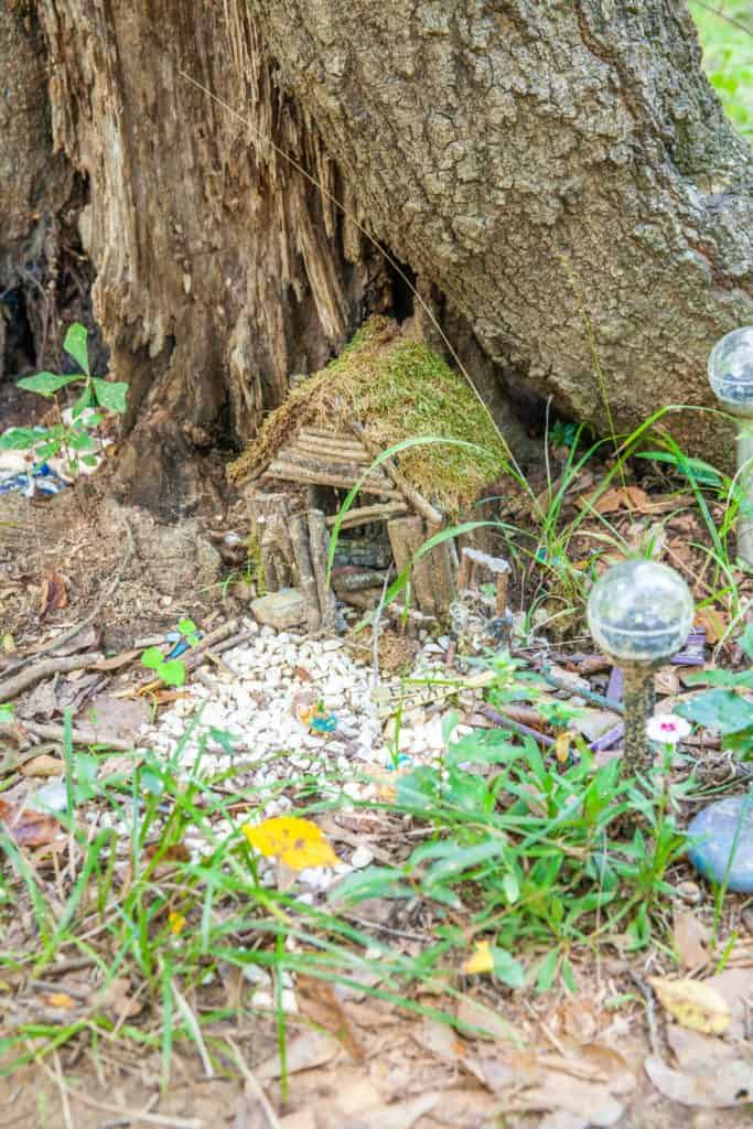 16+ Things to Do in Palestine TX - My Curly Adventures