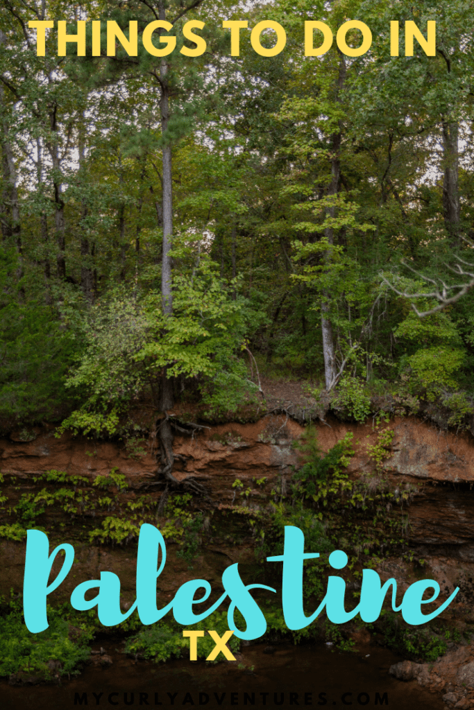 Things to do in Palestine TX 