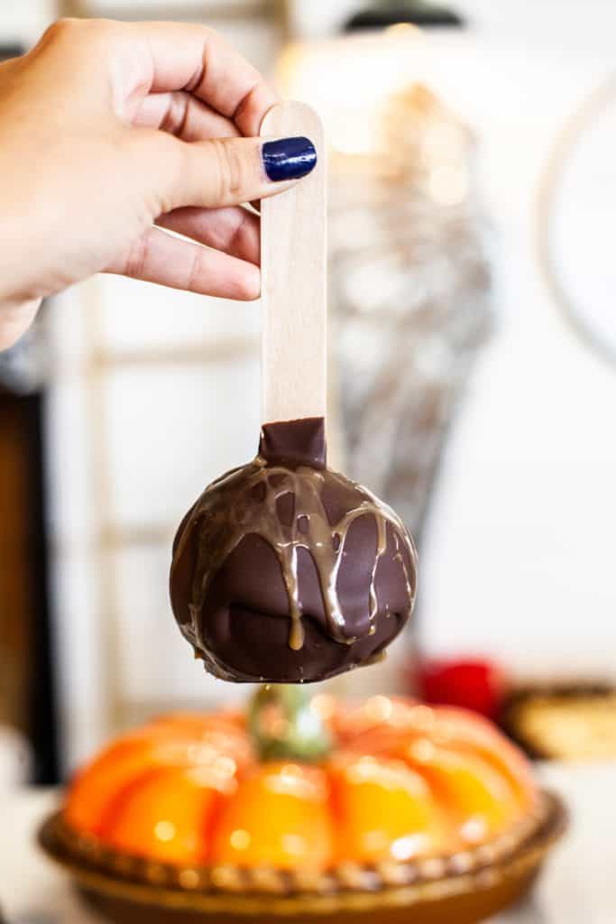 16+ Things to Do in Palestine TX - My Curly Adventures