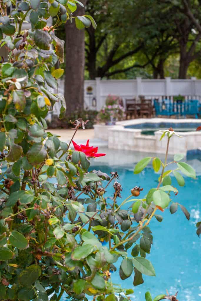Stay at this Beautiful Bed & Breakfast with a Pool in McKinney TX
